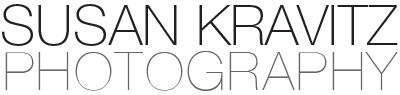 Susan Kravitz Photography Logo